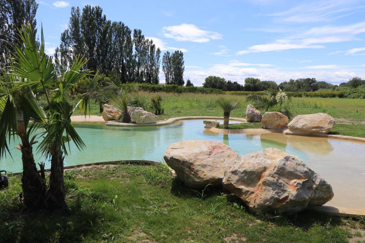 Le Mas Des Cerisiers Jacuzzi Et Sauna Inclus Pour Tous Les Logements Авиньон Екстериор снимка
